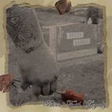 Strength For A Reason : Blood, Faith, Loyalty